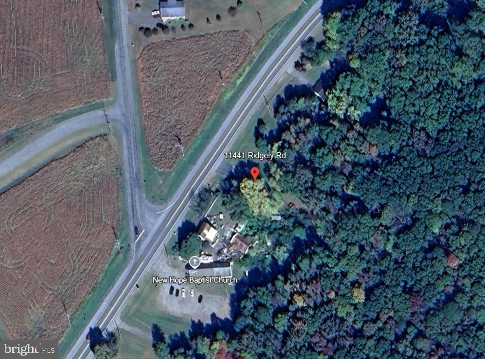 11441 Ridgely