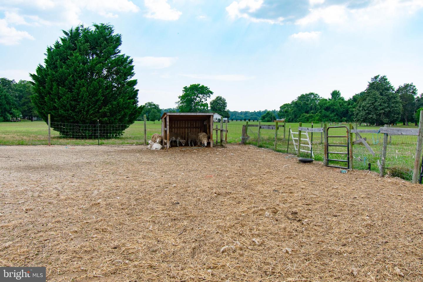 22408 Hog Creek Rd