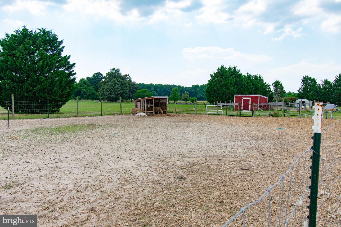 22408 Hog Creek Rd