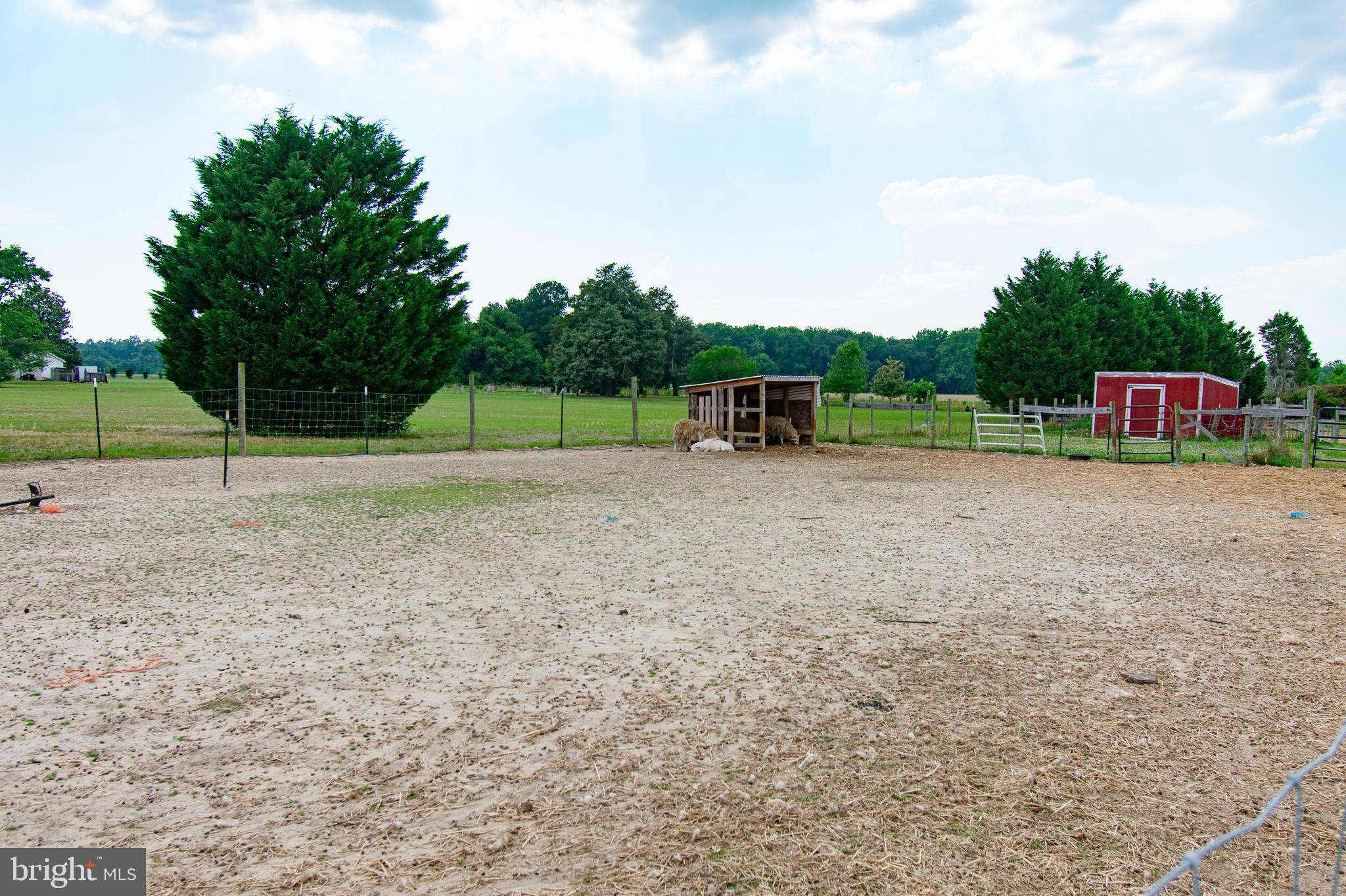 22408 Hog Creek Rd