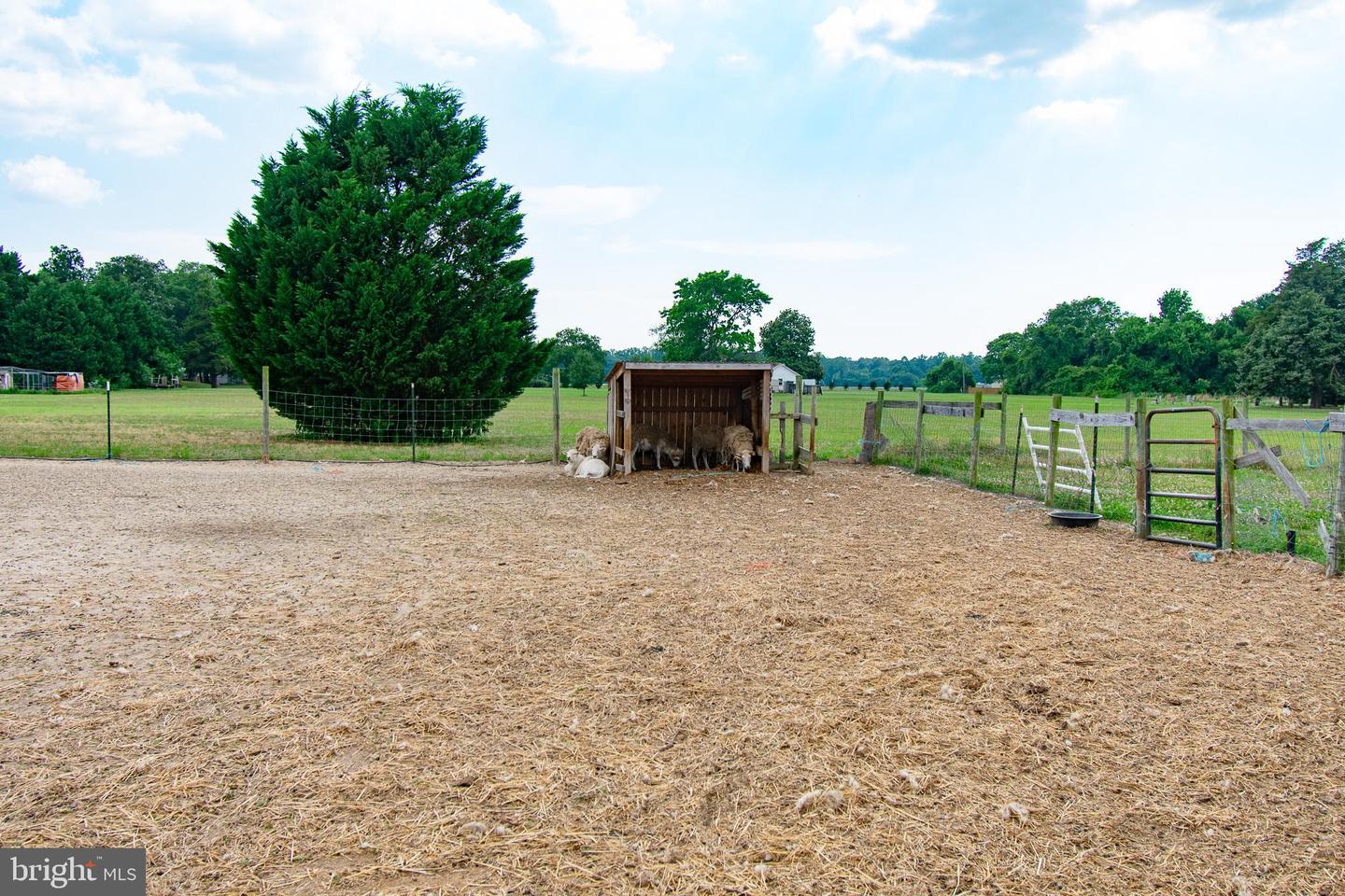 22408 Hog Creek Rd