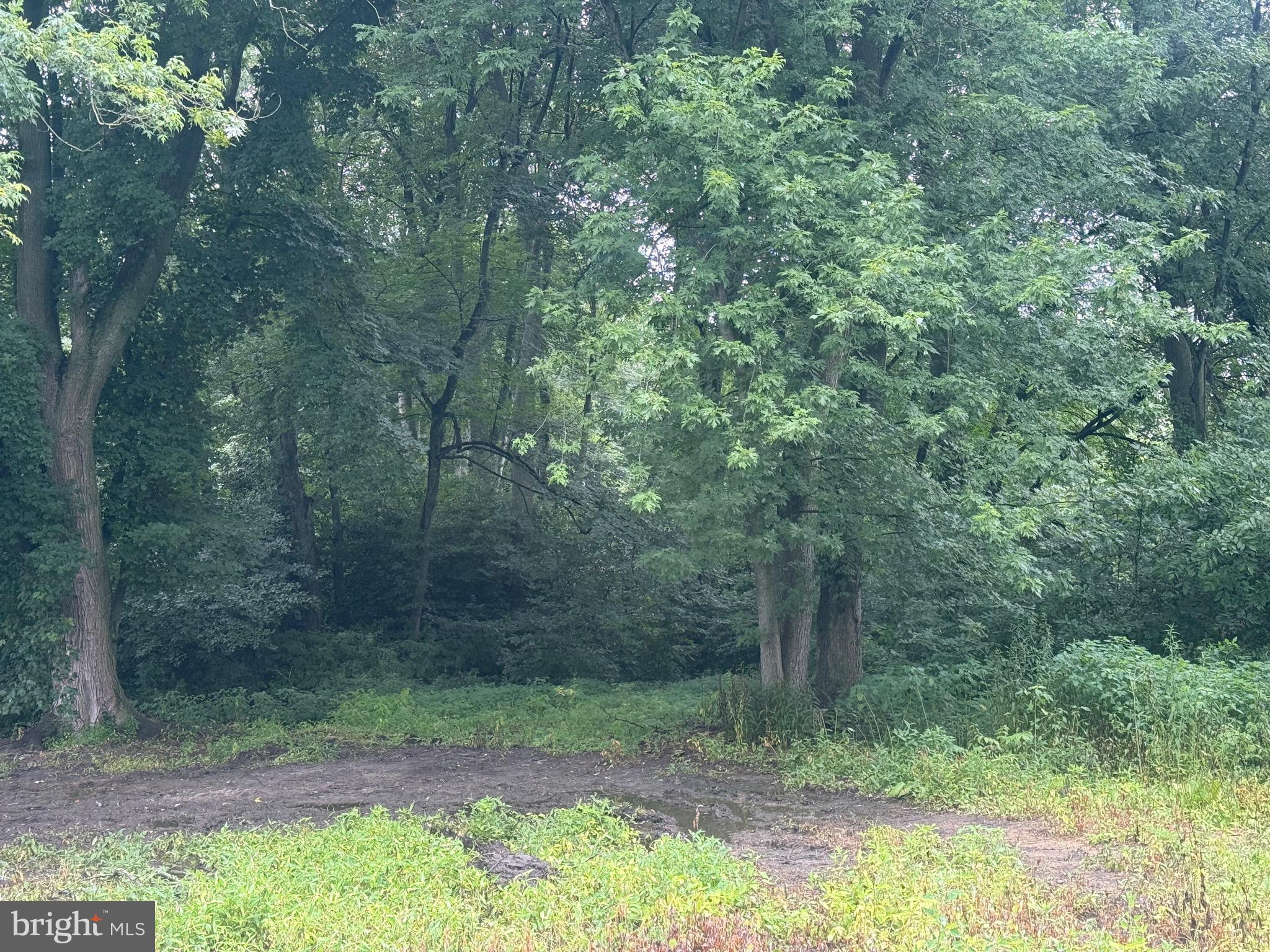 10440 Burrsville Branch Rd