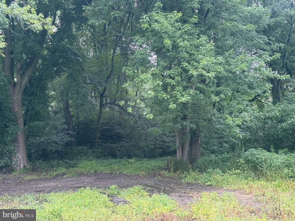 10440 Burrsville Branch Rd