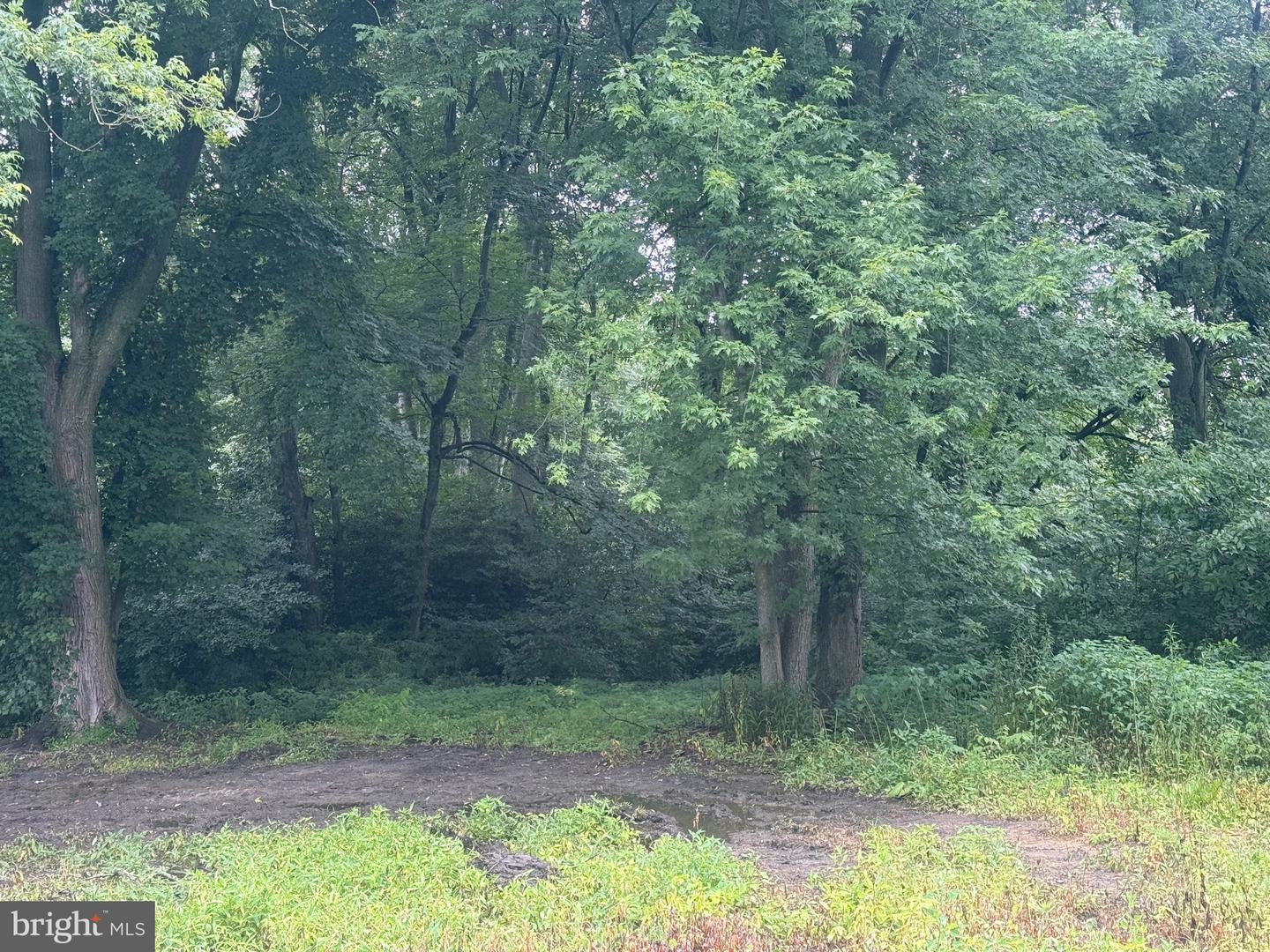 10440 Burrsville Branch Rd