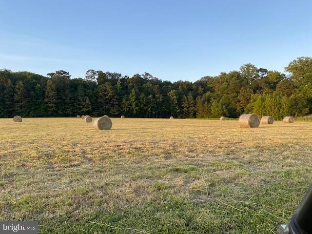 3069 Choptank Rd