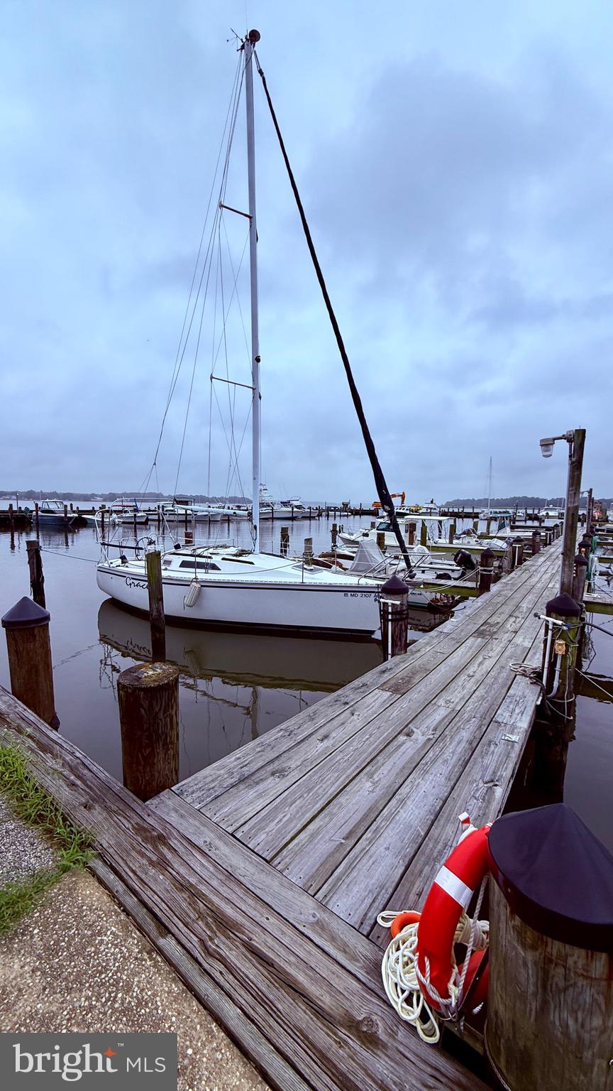 2697 Choptank Main St