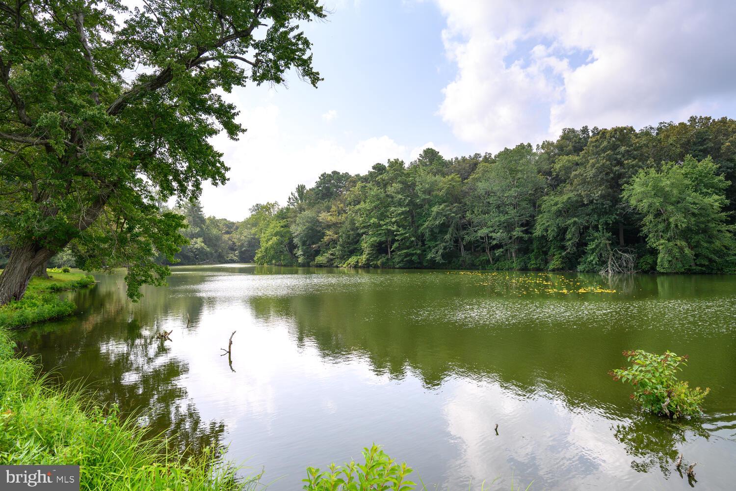 24316 Auction Rd