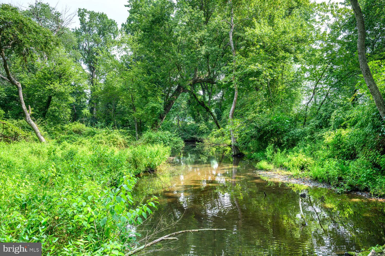 24316 Auction Rd