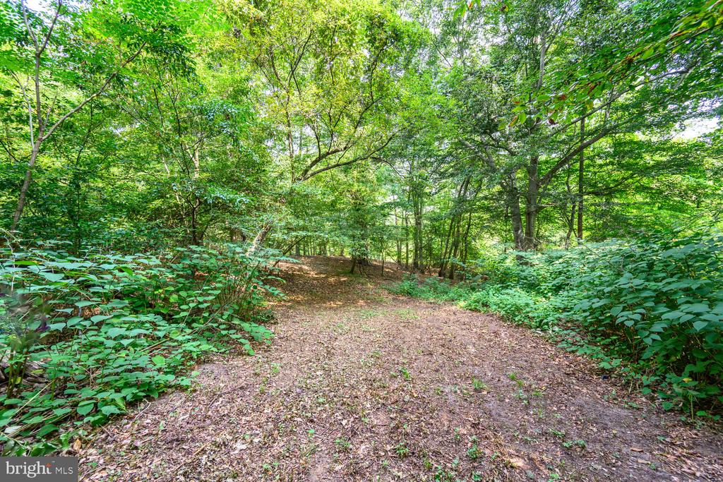 24316 Auction Rd