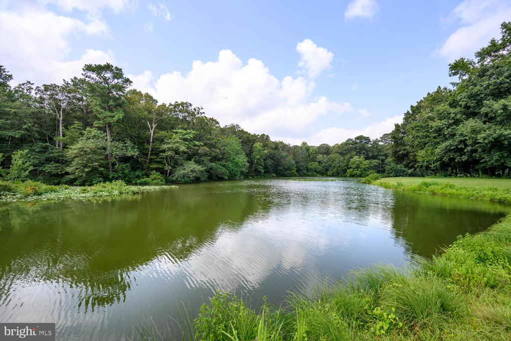 24316 Auction Rd