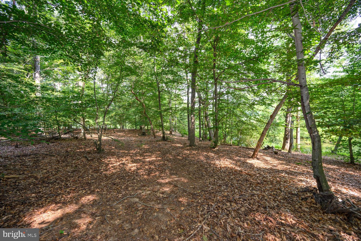 24316 Auction Rd