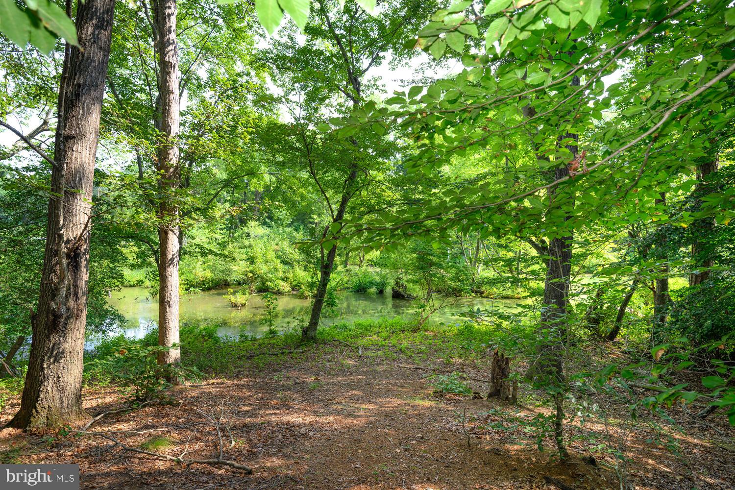 24316 Auction Rd