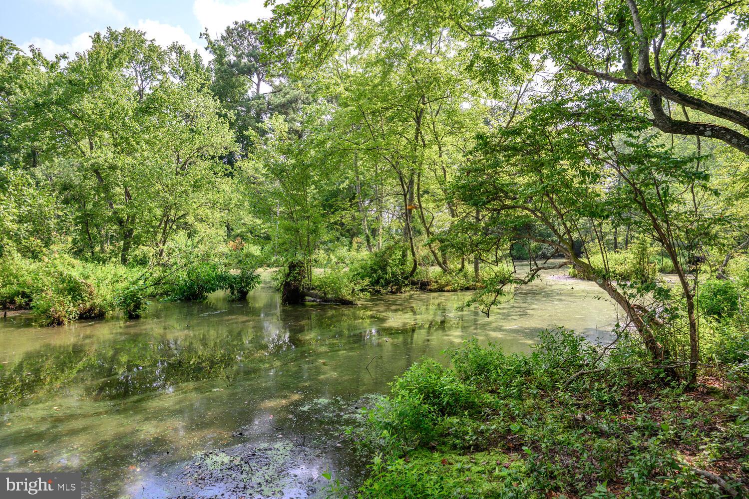 24316 Auction Rd