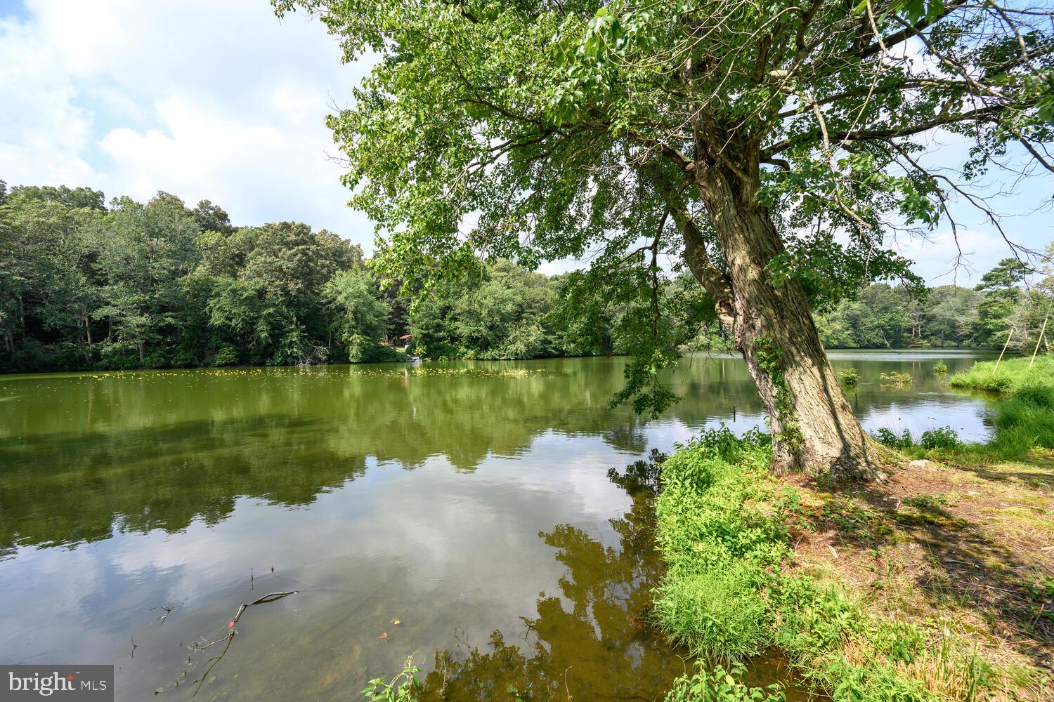 24316 Auction Rd