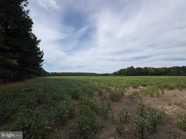 21682 DOVER BRIDGE ROAD