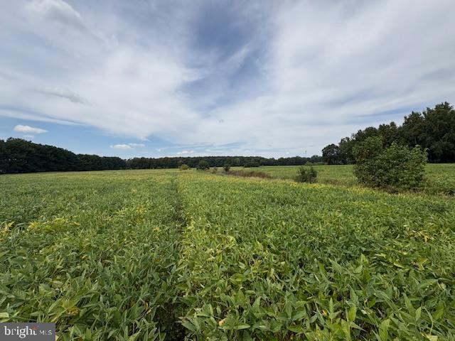 21682 DOVER BRIDGE ROAD