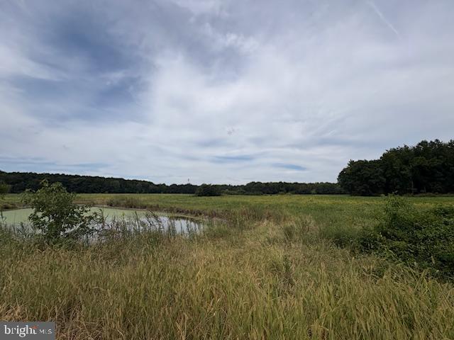 21682 DOVER BRIDGE ROAD
