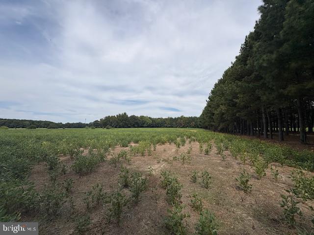 21682 DOVER BRIDGE ROAD