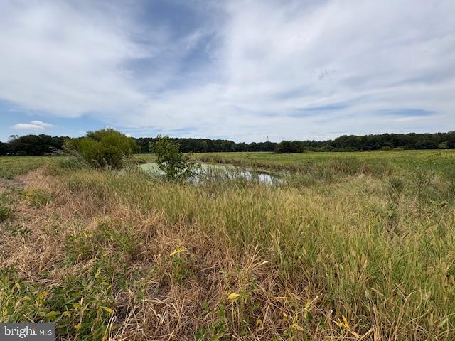 21682 DOVER BRIDGE ROAD