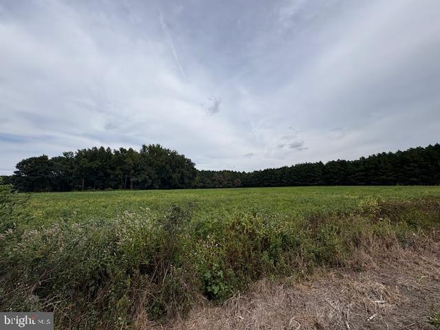 21682 DOVER BRIDGE ROAD