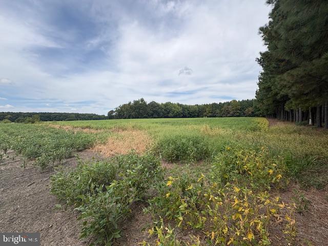 21682 DOVER BRIDGE ROAD