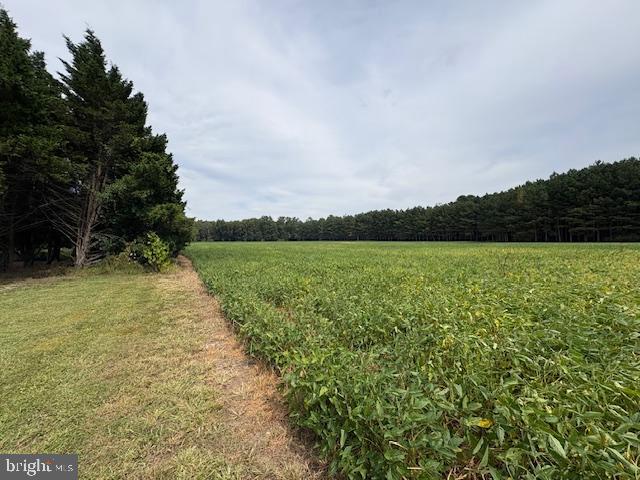 21682 DOVER BRIDGE ROAD