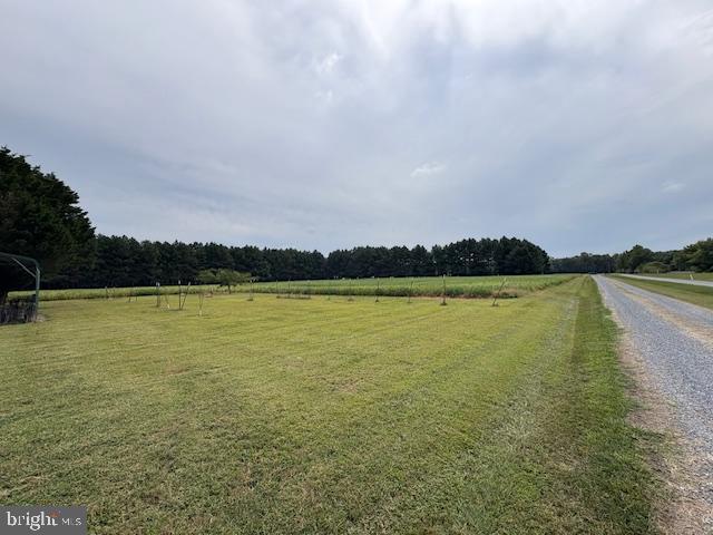 21682 DOVER BRIDGE ROAD