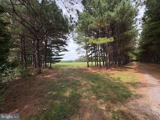 21682 DOVER BRIDGE ROAD