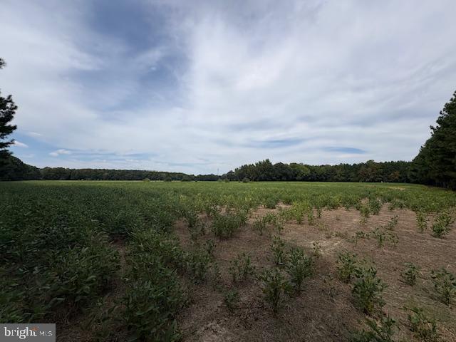 21682 DOVER BRIDGE ROAD
