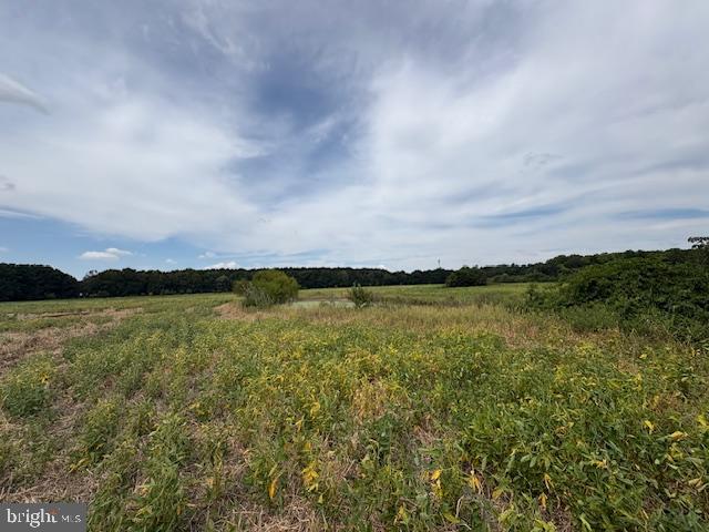21682 DOVER BRIDGE ROAD