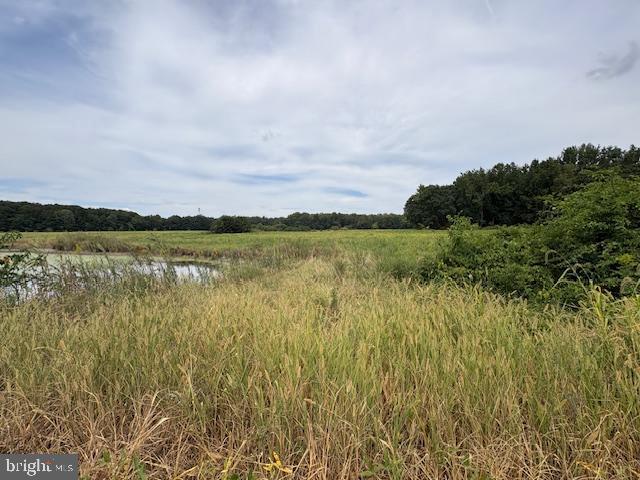 21682 DOVER BRIDGE ROAD