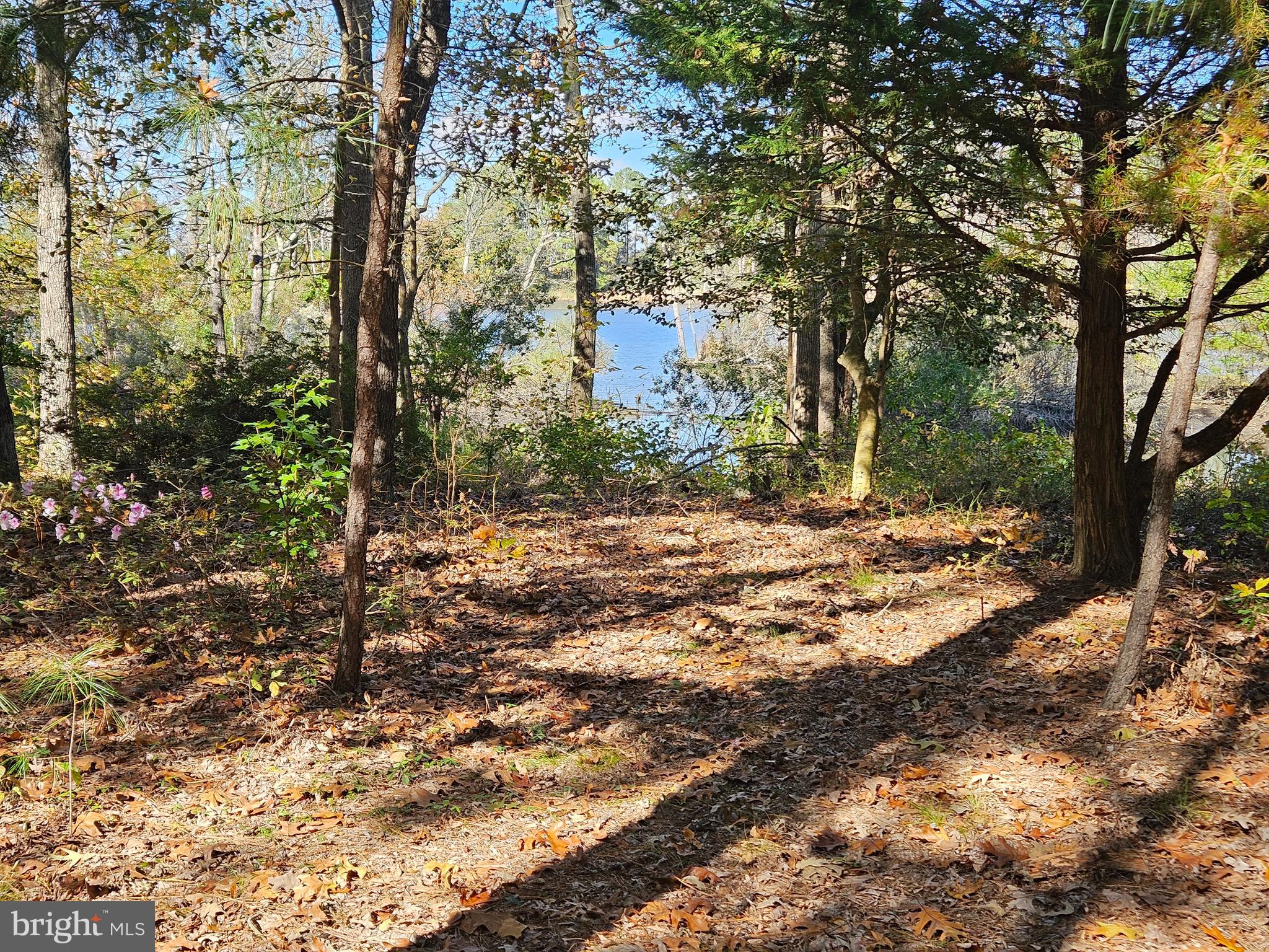 4935 EDMONDSON CREEK ROAD