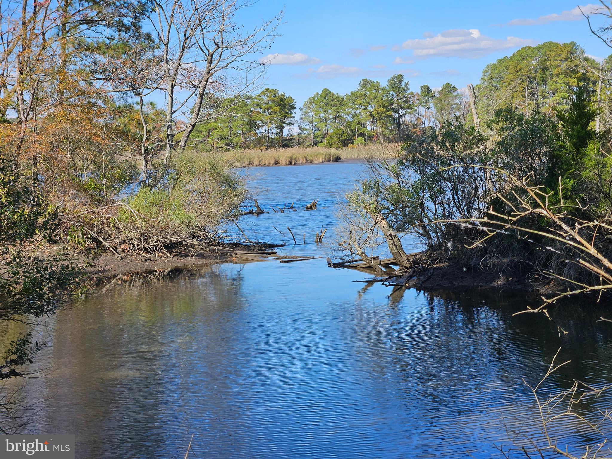 4935 EDMONDSON CREEK ROAD