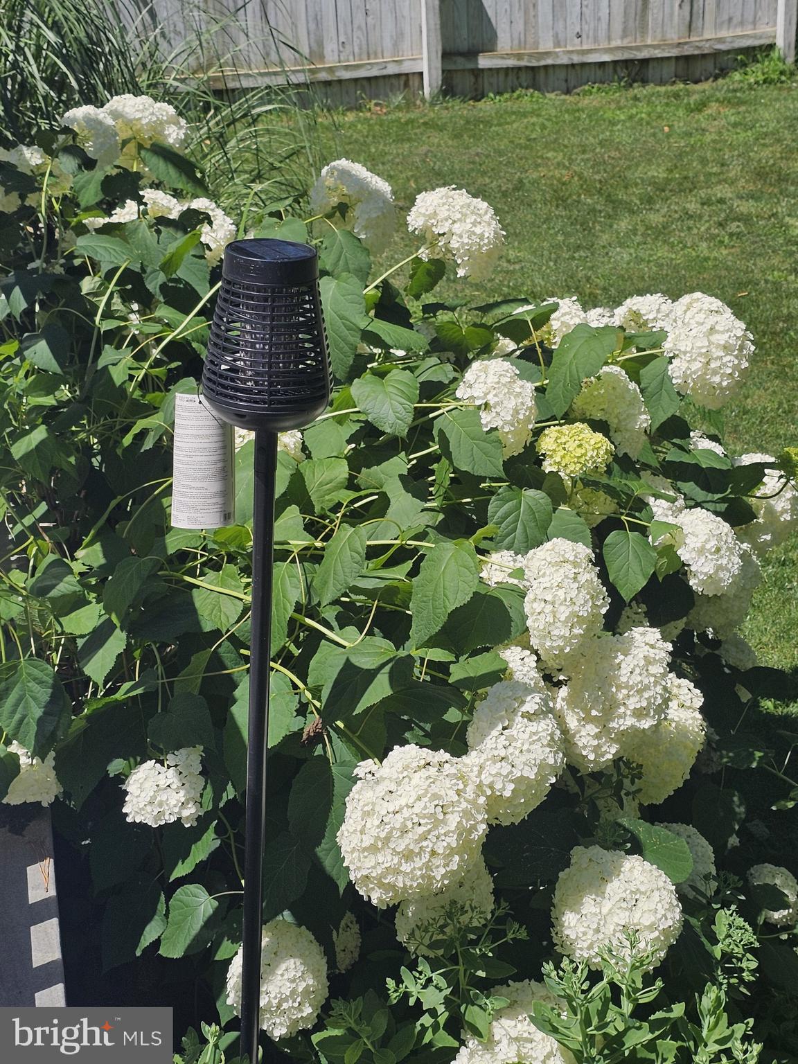 5585 HARMONY WOODS DRIVE