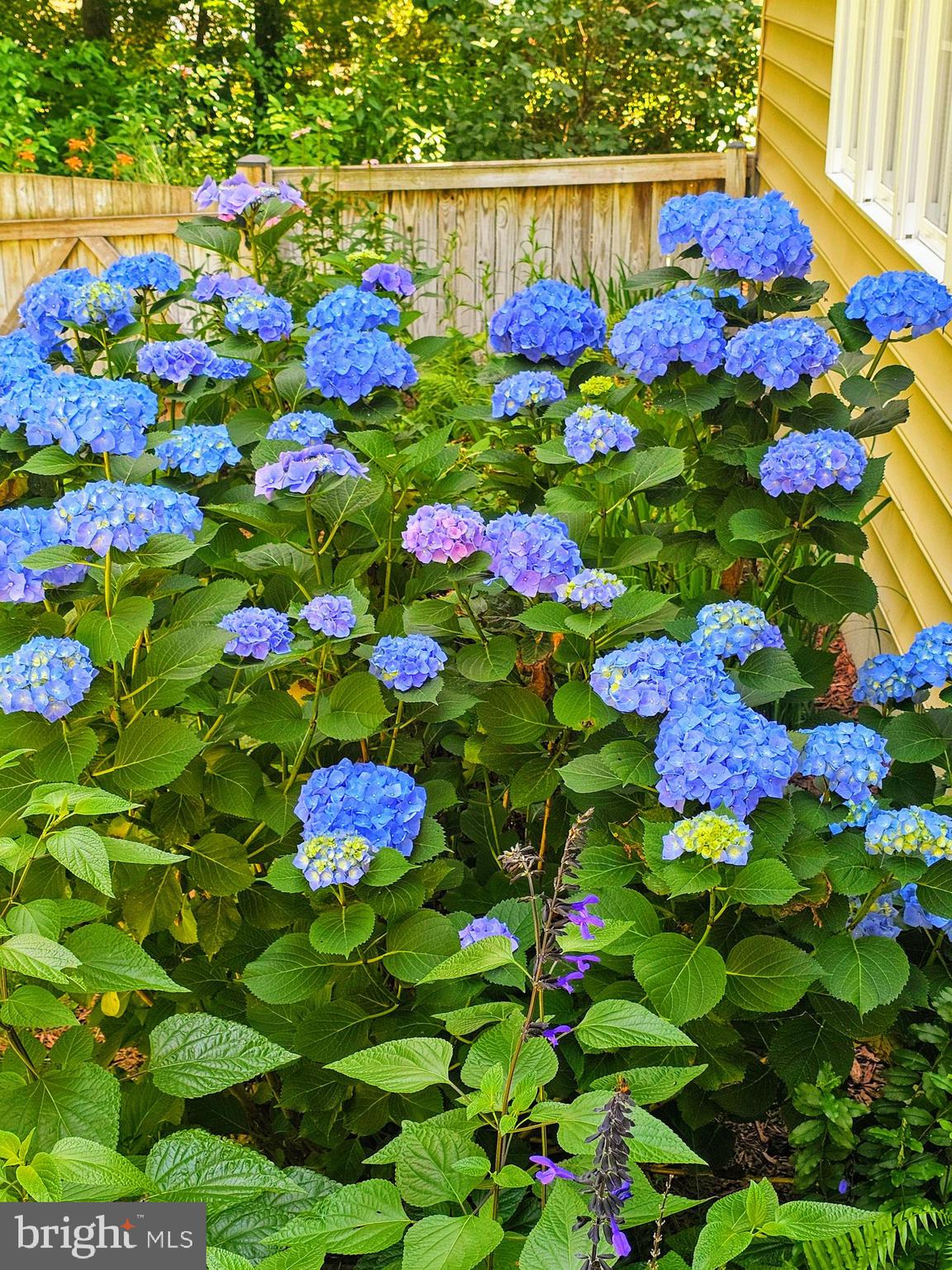 5585 HARMONY WOODS DRIVE