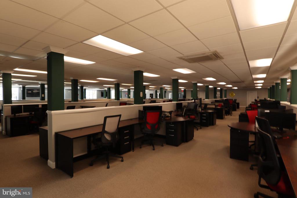 3601 CHOPTANK ROAD