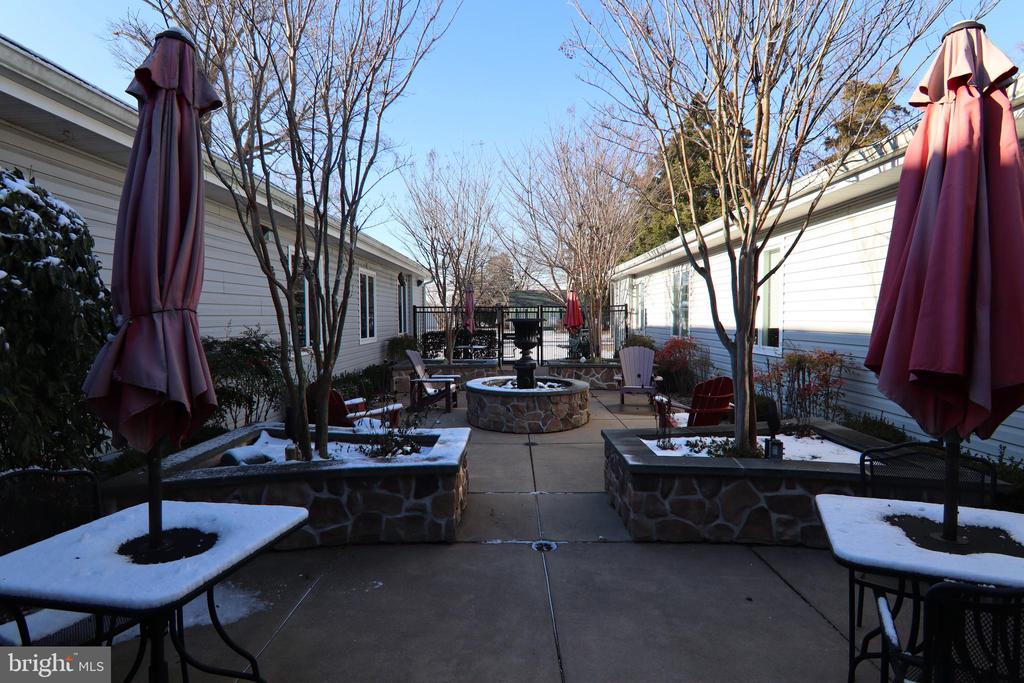 3601 CHOPTANK ROAD