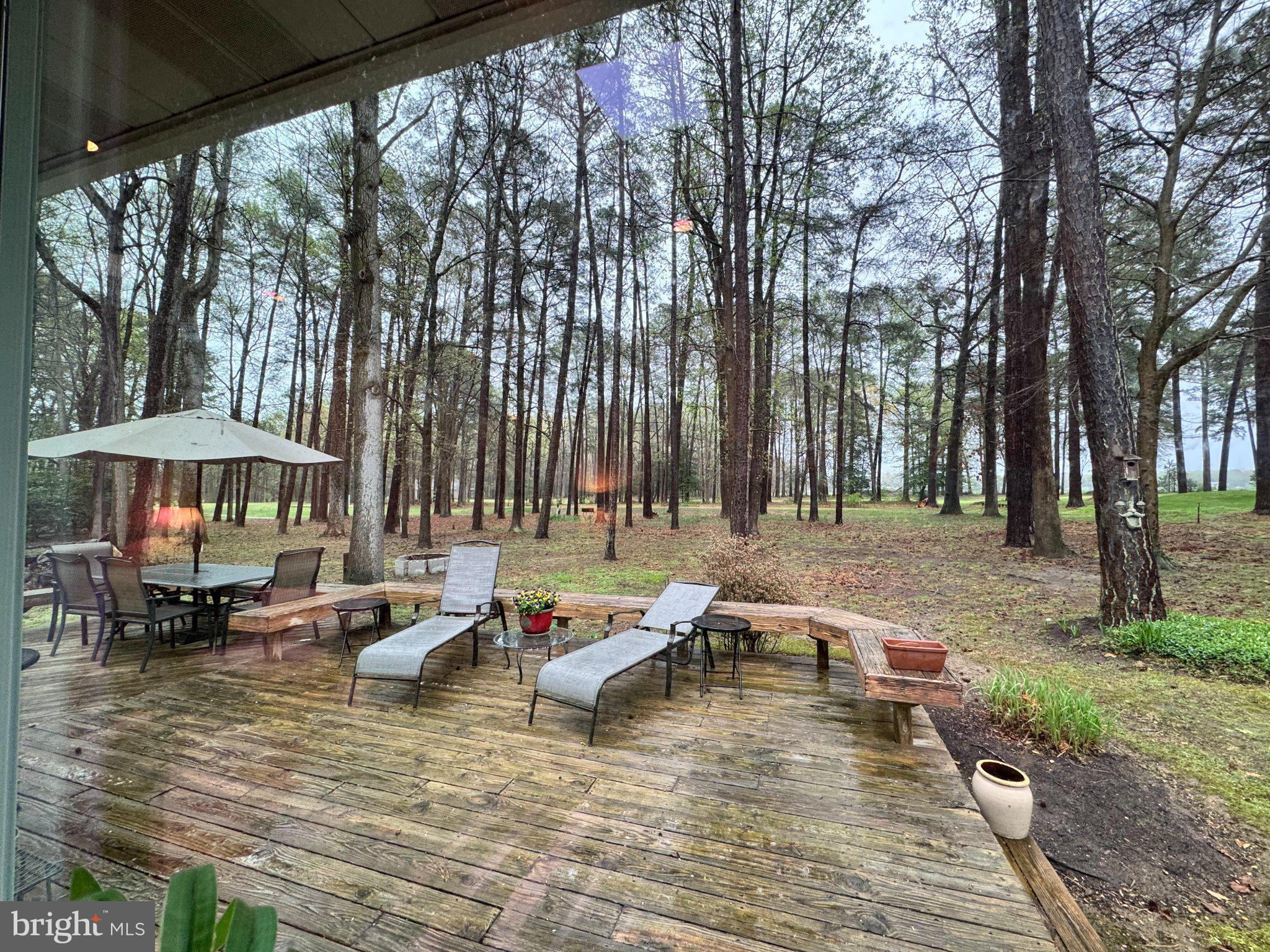 24899 WOODS DRIVE