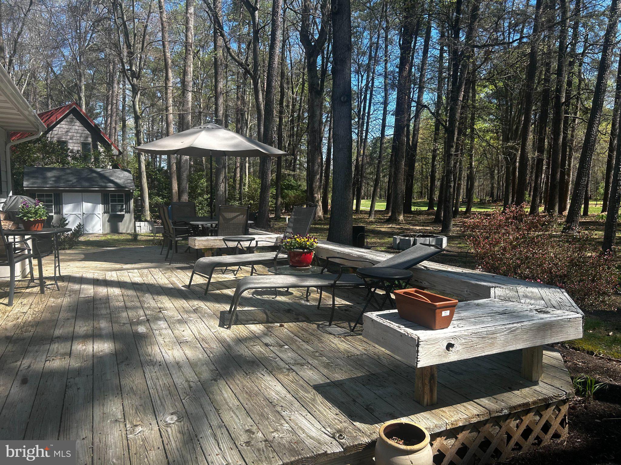24899 WOODS DRIVE
