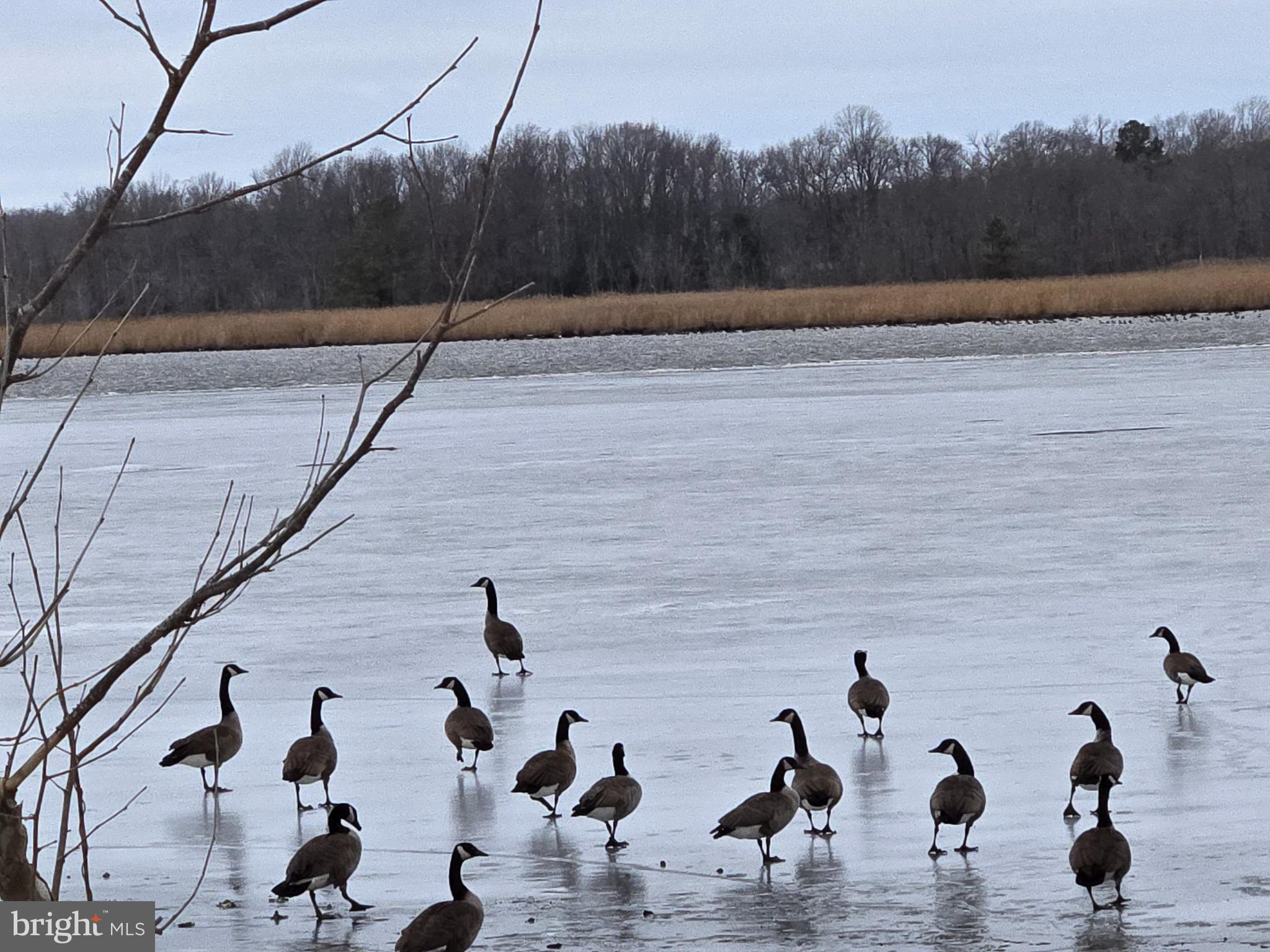 23116 GILPIN POINT ROAD