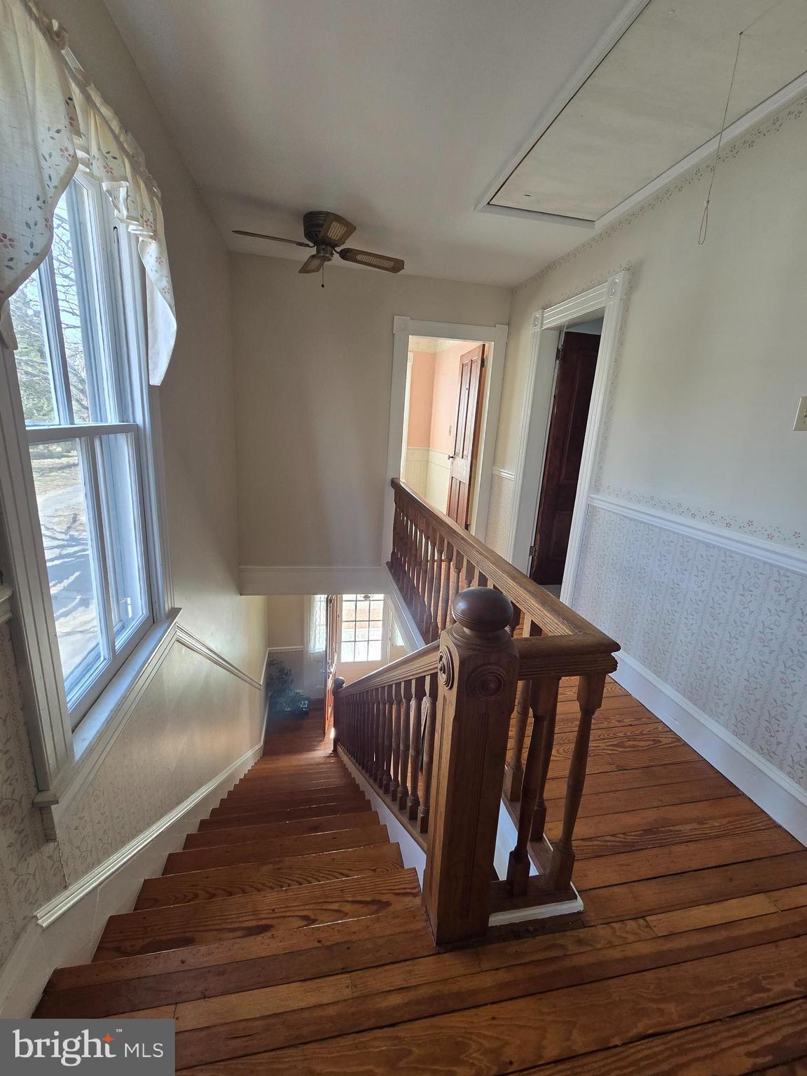 204 MAPLE AVENUE