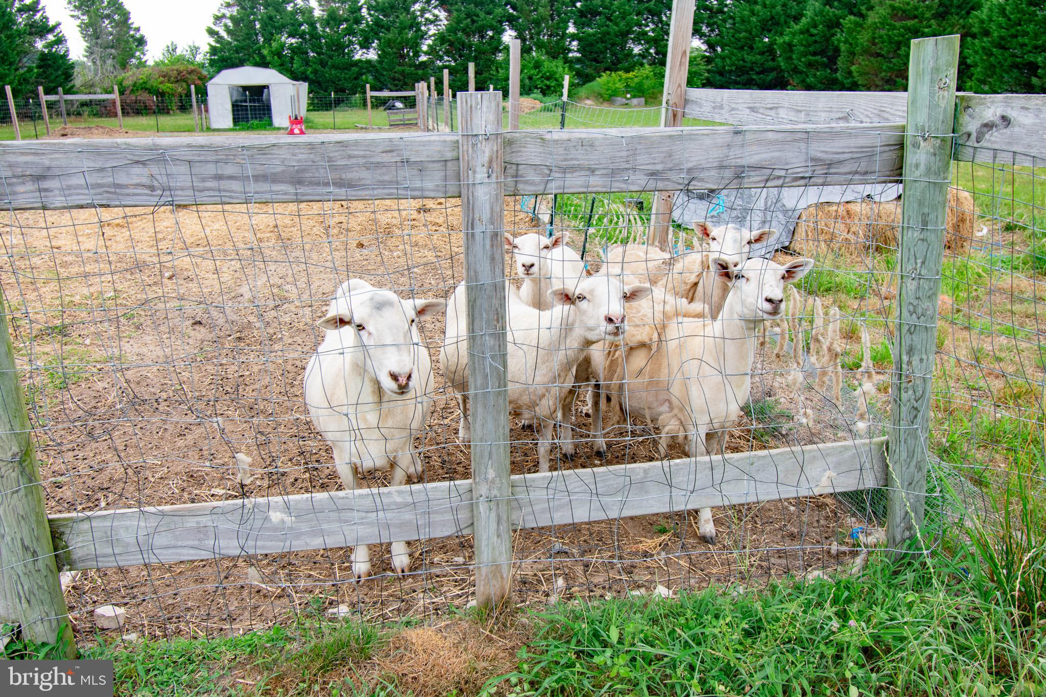 22408 HOG CREEK ROAD