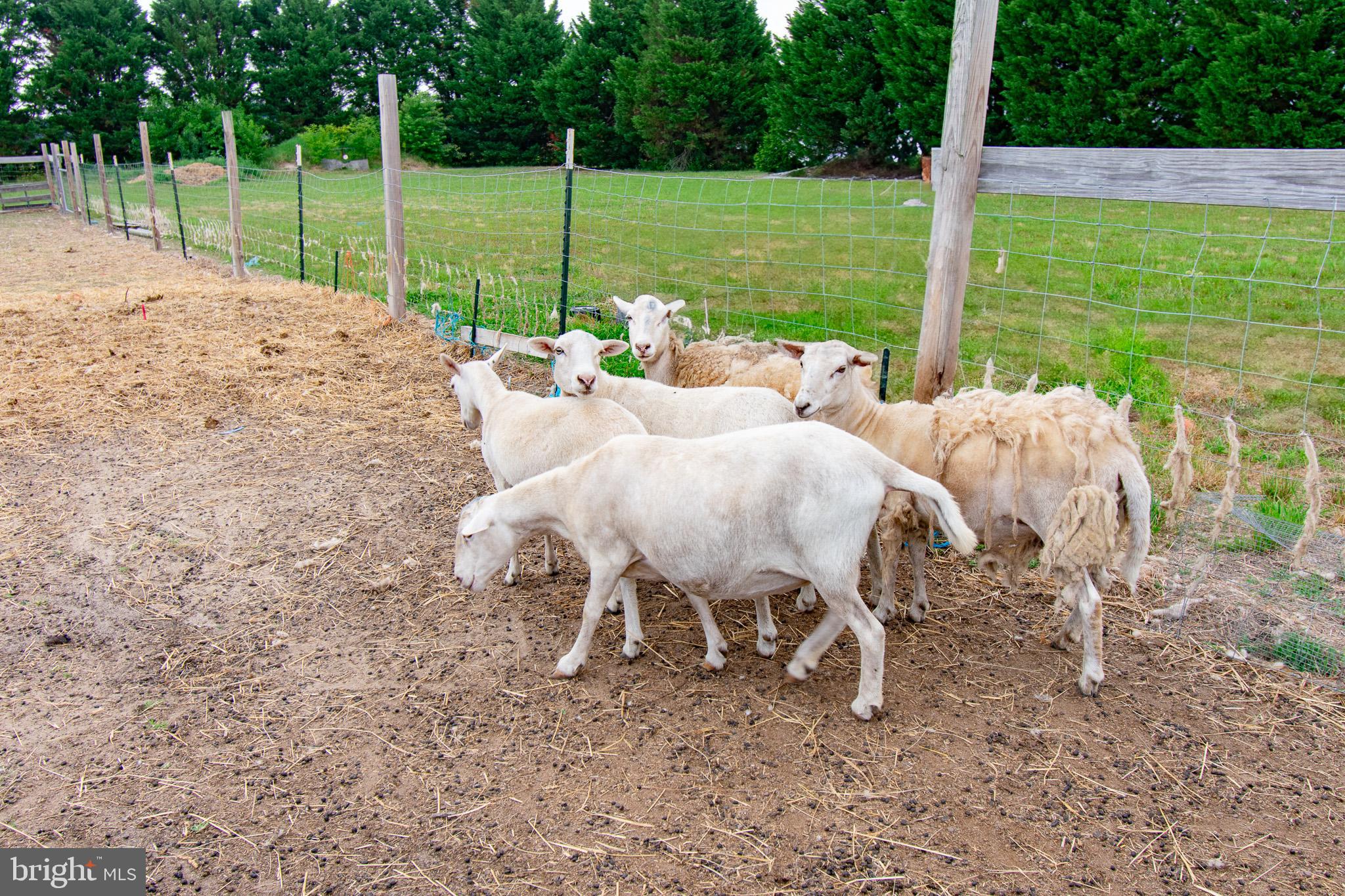 22408 HOG CREEK ROAD