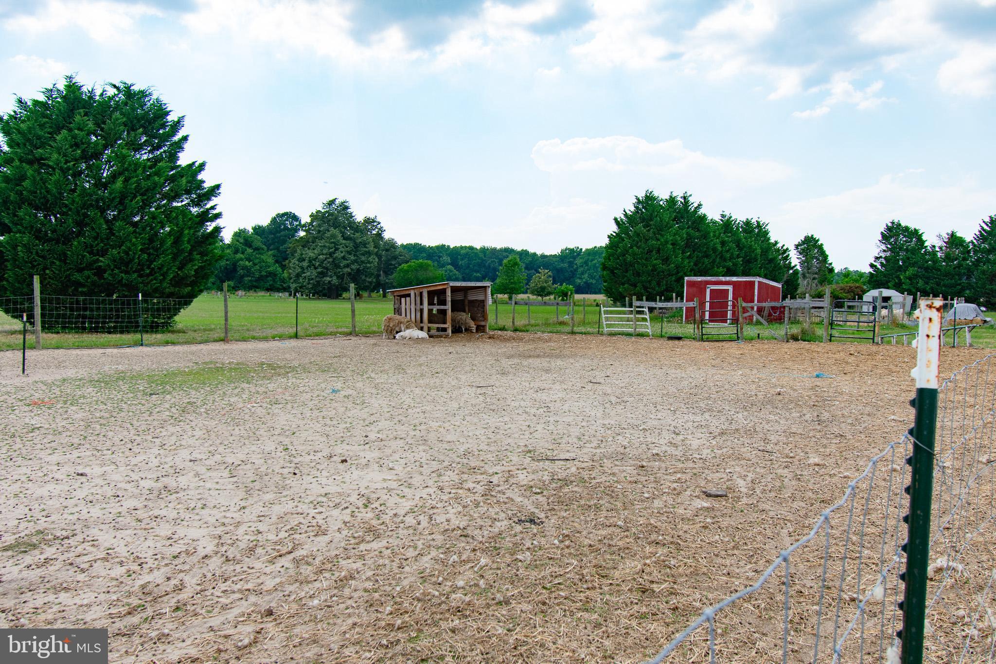 22408 HOG CREEK ROAD