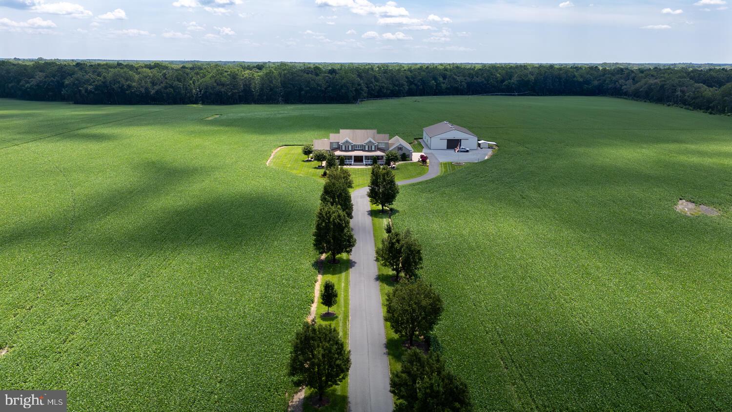 28219 BRIDGEVILLE ROAD