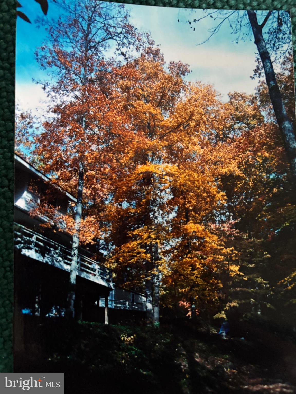 25305 SANDY POINT ROAD