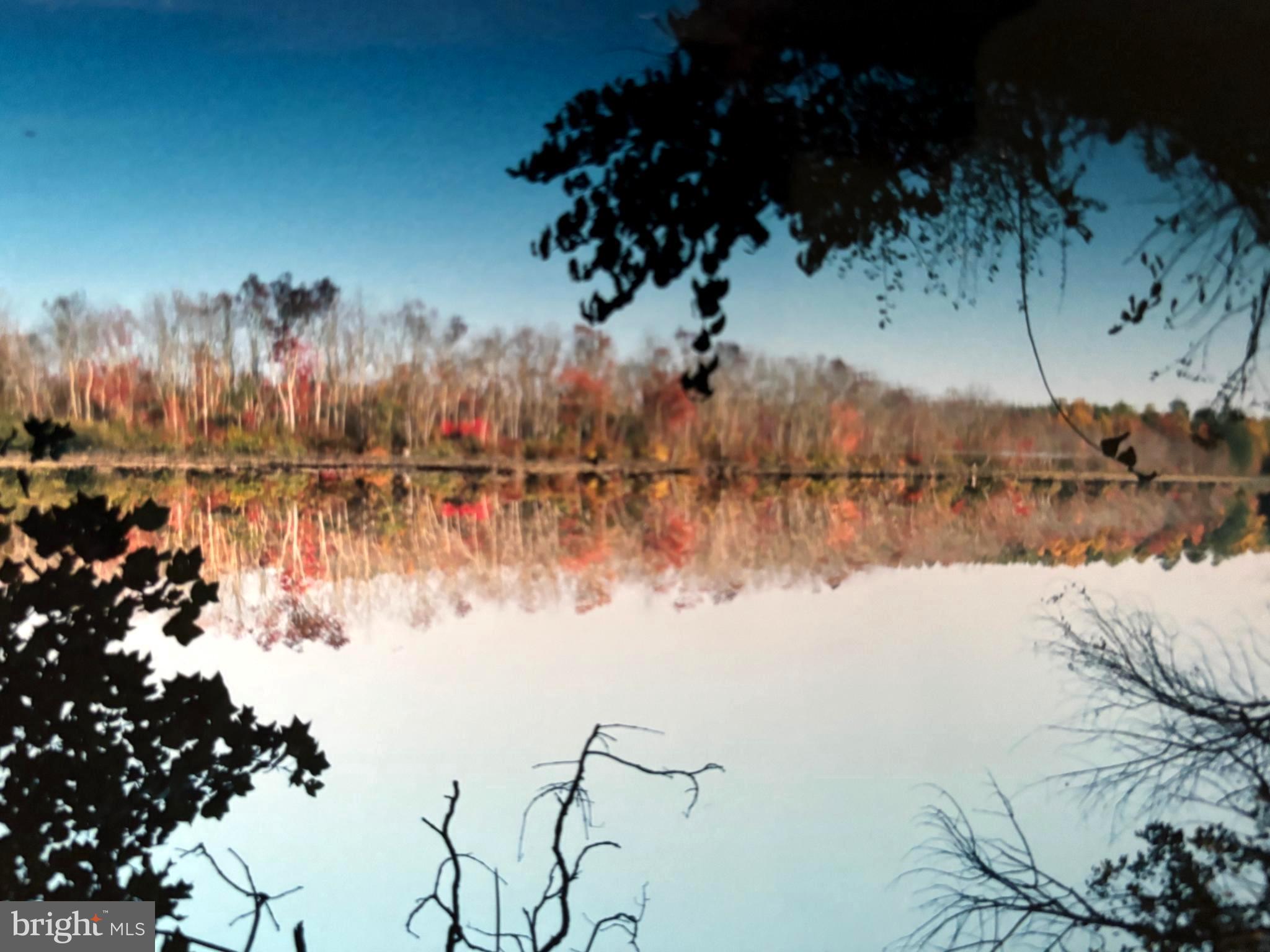 25305 SANDY POINT ROAD