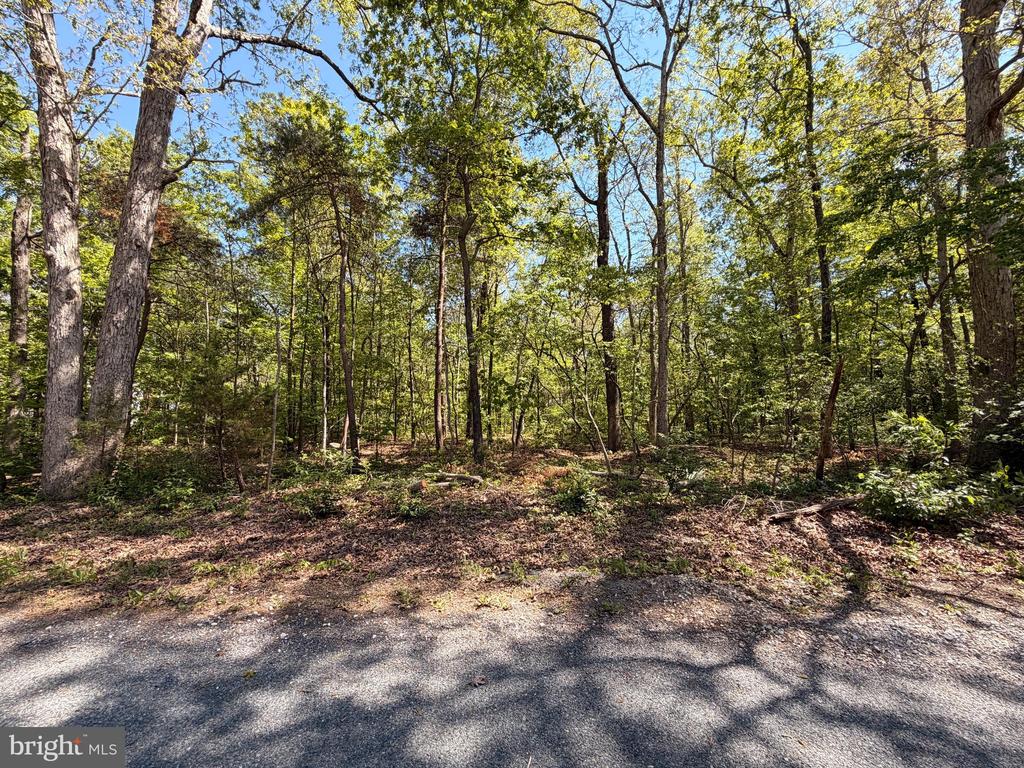 25865 BROOKWOOD ROAD