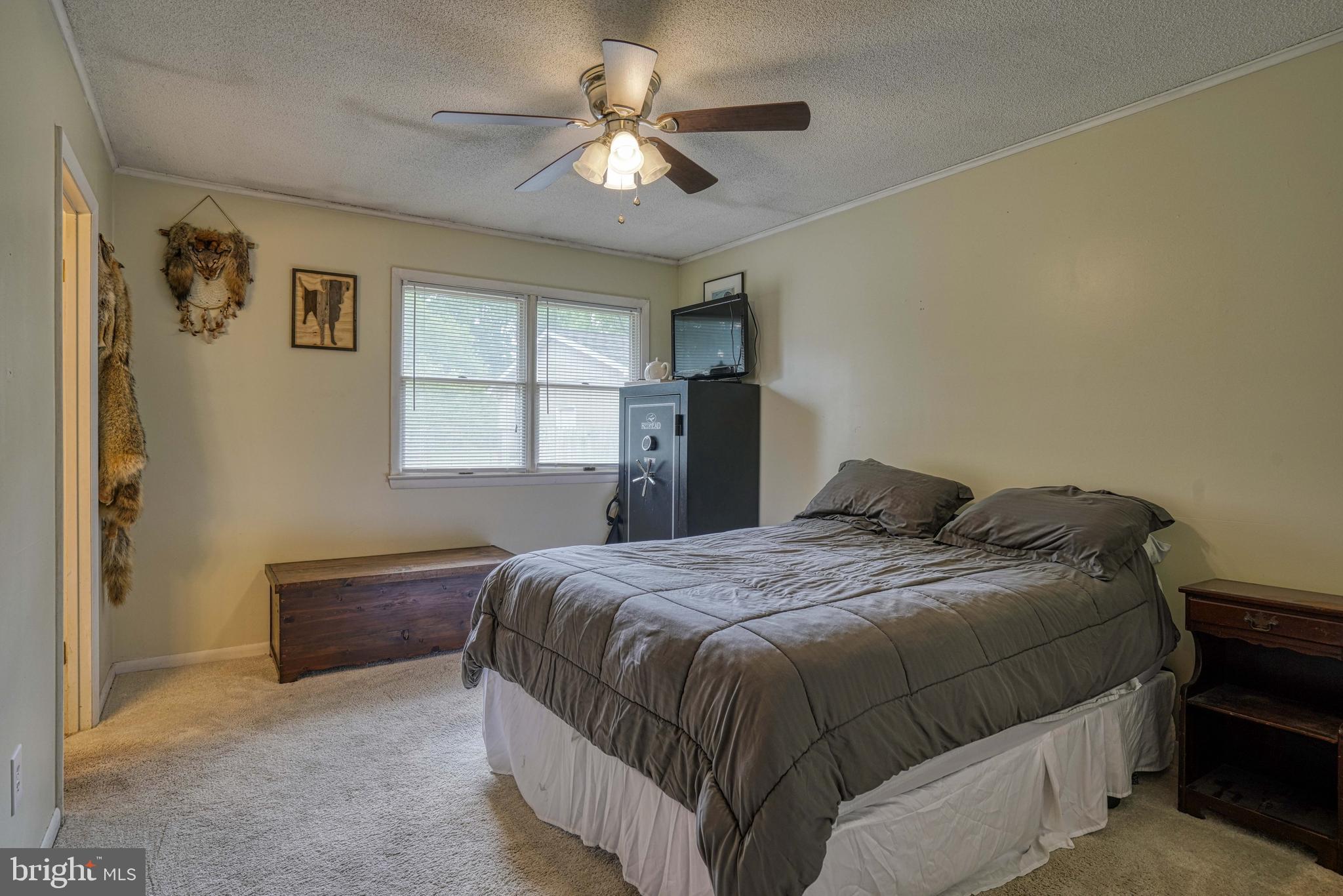 13023 MASON BRANCH ROAD