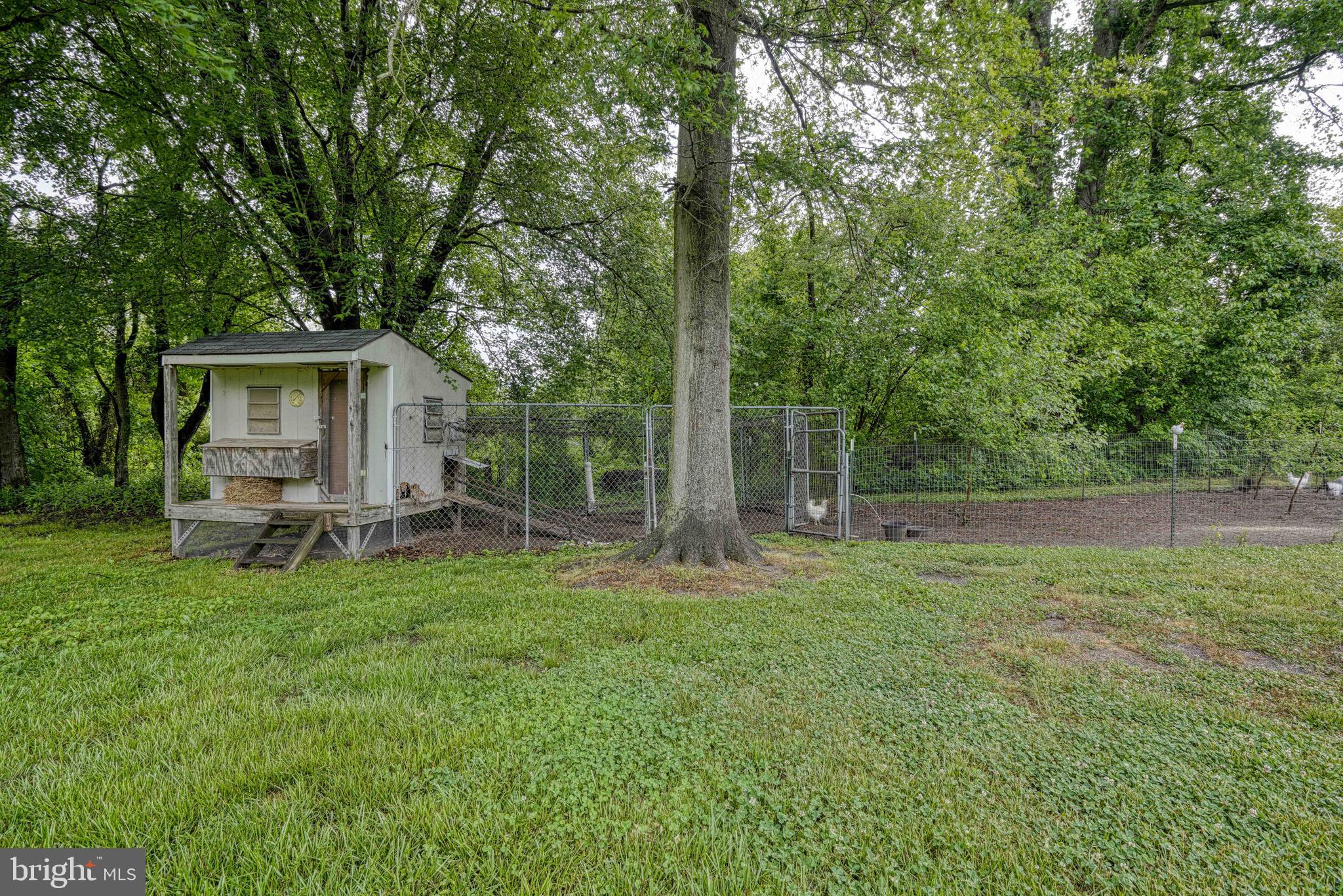13023 MASON BRANCH ROAD